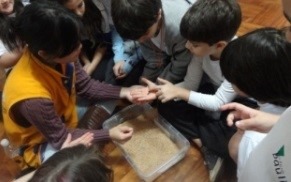 Sete crianças sentadas no chão, observando um inseto na palma da mão de uma delas. Uma caixa de plástico com areia está no chão 